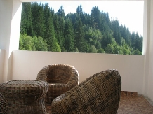 Pensiunea Alexandra - accommodation in  Bucovina (05)
