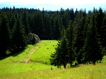 Pensiunea Alexandra - alloggio in  Bucovina (08)