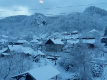 Pensiunea Ana - alloggio in  Tara Maramuresului (05)