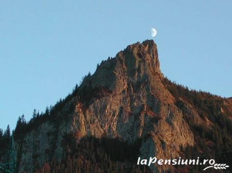 Pensiunea Ana - alloggio in  Tara Maramuresului (Attivit&agrave; e i dintorni)