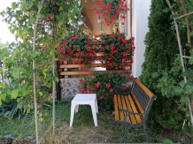 Pensiunea Ioana - accommodation in  Fagaras and nearby, Muscelului Country (05)