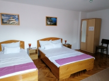 Pensiunea Ioana - accommodation in  Fagaras and nearby, Muscelului Country (26)