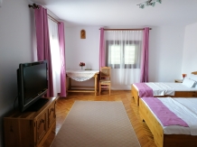 Pensiunea Ioana - accommodation in  Fagaras and nearby, Muscelului Country (27)