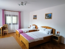 Pensiunea Ioana - accommodation in  Fagaras and nearby, Muscelului Country (28)
