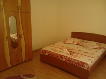 Pensiunea Adelina - accommodation in  North Oltenia (04)