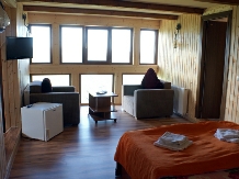 Pensiunea Ina - accommodation in  North Oltenia, Transalpina (07)
