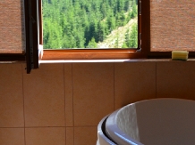 Pensiunea Ina - accommodation in  North Oltenia, Transalpina (11)