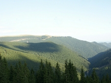 Pensiunea Ina - cazare Nordul Olteniei, Transalpina (34)