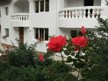 Vila Bradet - cazare Moldova (02)