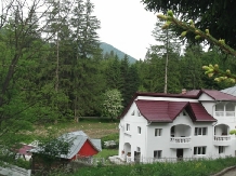 Vila Bradet - cazare Moldova (03)