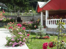 Vila Bradet - cazare Moldova (07)