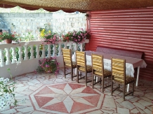 Vila Bradet - cazare Moldova (08)
