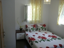 Vila Bradet - cazare Moldova (13)