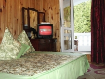 Vila Bradet - cazare Moldova (17)