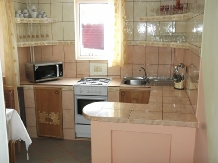 Vila Bradet - cazare Moldova (19)