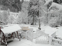 Vila Bradet - cazare Moldova (25)
