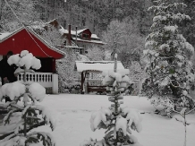 Vila Bradet - cazare Moldova (26)