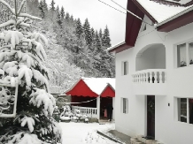 Vila Bradet - cazare Moldova (29)