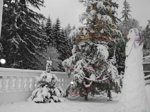 Vila Bradet - cazare Moldova (32)