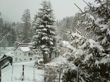Vila Bradet - cazare Moldova (34)