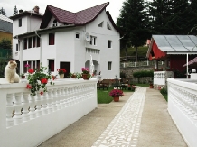 Vila Bradet - cazare Moldova (37)