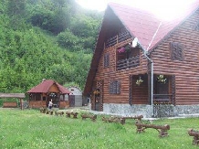 Pensiunea Rausor Rucar - accommodation in  Rucar - Bran (01)