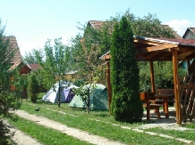 Pensiunea Rose - alloggio in  Transilvania (07)