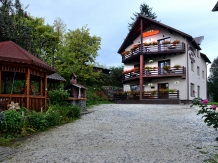 Pensiunea Beatrice - accommodation in  Vatra Dornei, Bucovina (04)