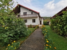 Vila Gina - accommodation in  Danube Boilers and Gorge, Clisura Dunarii (01)