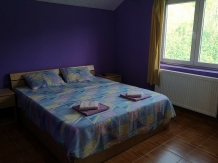 Vila Gina - accommodation in  Danube Boilers and Gorge, Clisura Dunarii (04)