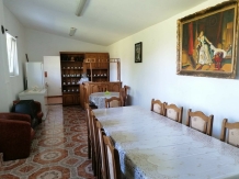 Vila Gina - cazare Cazanele Dunarii, Clisura Dunarii (07)