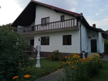 Vila Gina - alloggio in  Gola del Danubio, Clisura Dunarii (13)