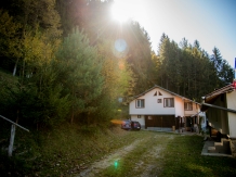 Cabana din Brazi - alloggio in  Tara Muscelului (04)