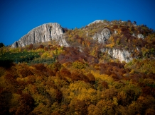 Cabana din Brazi - alloggio in  Tara Muscelului (10)