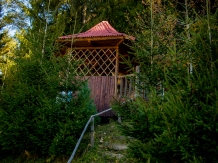Cabana din Brazi - alloggio in  Tara Muscelului (22)