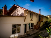 Cabana din Brazi - accommodation in  Muscelului Country (85)