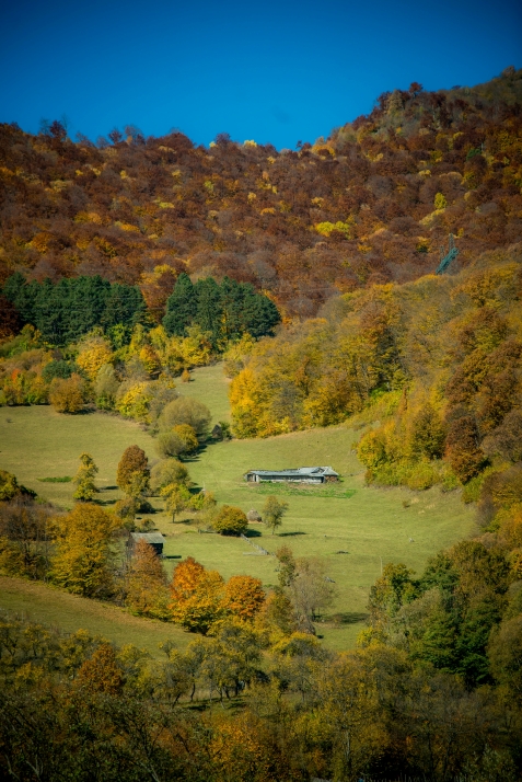 Cabana din Brazi - accommodation in  Muscelului Country (Surrounding)