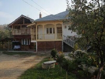 Casa Codescu - cazare Valea Buzaului (13)