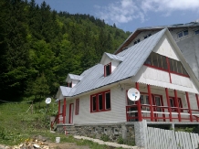 Pensiunea Dara - accommodation in  Fagaras and nearby, Transfagarasan (01)