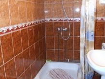 Pensiunea Garofita Pietrei Craiului - accommodation in  Rucar - Bran, Moeciu (04)