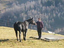 Pensiunea Garofita Pietrei Craiului - accommodation in  Rucar - Bran, Moeciu (13)