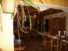 Pensiunea Paradis - cazare Valea Doftanei (08)