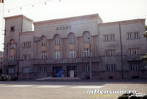 Pensiunea Ovidiu - alloggio in  Tara Maramuresului (Attivit&agrave; e i dintorni)