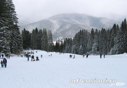 Vila Rares - cazare Valea Prahovei (Activitati si imprejurimi) Vila Rares - cazare Valea Prahovei (Activitati si imprejurimi)