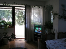 Vila FG - accommodation in  Brasov Depression (05)