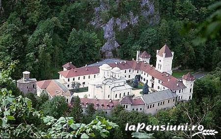 Pensiunea Ecaterina - accommodation in  North Oltenia (Surrounding)