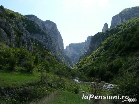 Casa de oaspeti Carla - accommodation in  Apuseni Mountains (Surrounding)