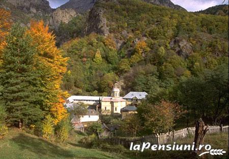 La Conac Horezu - cazare Valea Oltului, Horezu (Activitati si imprejurimi)