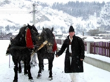 Pensiunea Floare de Crin - alloggio in  Bucovina (05)