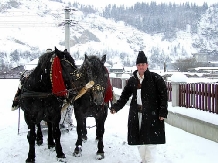 Pensiunea Floare de Crin - cazare Bucovina (05)